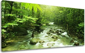 Obraz na stenu PANORÁMA STROMY