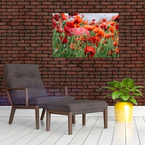 Obraz z poľa vlčích makov (90x60 cm)
