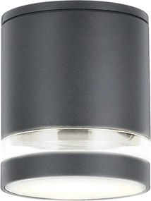 Rabalux Vonkajšie stropné prisadené svietidlo Zombor 1x35W | GU10 | IP54 - antracit 7817