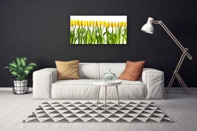 Obraz Canvas Tulipány kvety príroda 125x50 cm