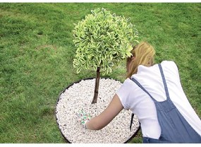 PROSPERPLAST Obrubník neviditeľný BORDER 0645 čierny 480cm