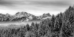 Obraz zamrznuté hory v čiernobielom prevedení Varianta: 100x50