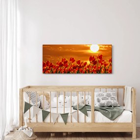 Obraz rozkvitnutého lánu s tulipánmi (120x50 cm)