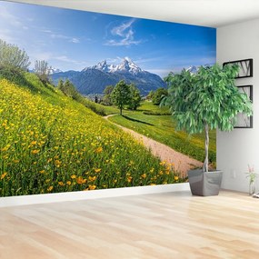 Fototapeta Vliesová Idylické alpy 208x146 cm