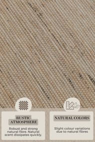 Hanse Home, Behúň Handloom 105961 Dhaka Beige, 80x200, béžová, chodba / predsieň