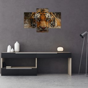Obraz - Portrét tigra vo vode (90x60 cm)