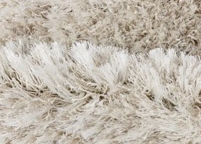 Koberce Breno Kusový koberec RHAPSODY 25-01/101, béžová,60 x 120 cm