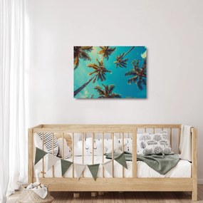 Sklenený obraz - Vysoké palmy (70x50 cm)