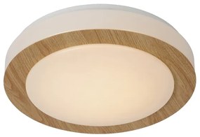 Lucide 79179/12/72 - LED Stropné kúpeľňové svietidlo DIMY LED/12W/230V
