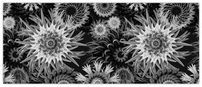 Obraz - Čiernobiele bodliaky (120x50 cm)
