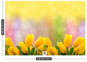 Fototapeta Vliesová Žlté tulipány 208x146 cm