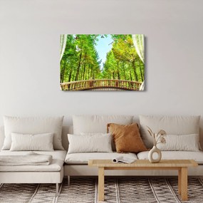 Obraz - Výhľad na les (90x60 cm)