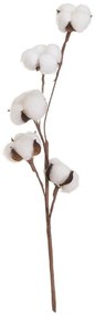 Sušená rastlina (výška 55 cm) Cotton – Casa Selección
