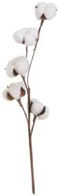 Sušená rastlina (výška 55 cm) Cotton – Casa Selección