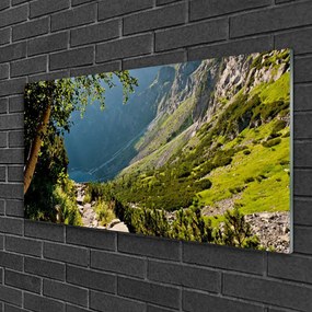Skleneny obraz Hora les príroda 125x50 cm