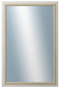 DANTIK - Zrkadlo v rámu, rozmer s rámom 40x60 cm z lišty RIVIERA Au (3100)