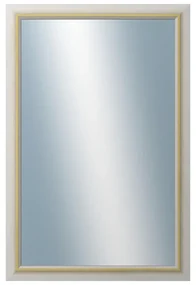 DANTIK - Zrkadlo v rámu, rozmer s rámom 40x60 cm z lišty RIVIERA Au (3100)