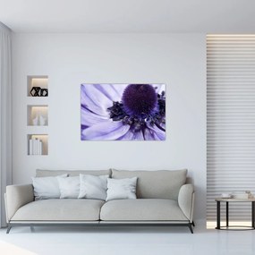 Obraz - Fialový kvet (90x60 cm)