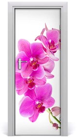 Fototapeta samolepiace ružová orchidea 95x205 cm