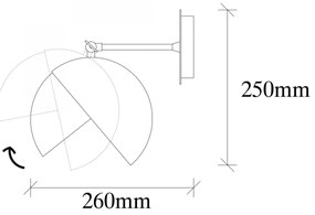 Nástenná lampa Berceste čierna/zlatá