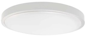 LED Kúpeľňové stropné svietidlo LED/18W/230V IP44 6500K pr. 25 cm biela