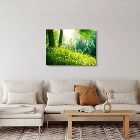 Sklenený obraz - Magická lúka plná púpav (70x50 cm)
