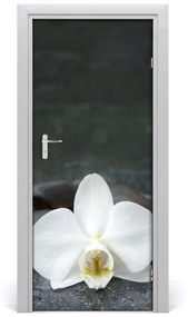 Fototapeta na dvere orchidea 75x205 cm