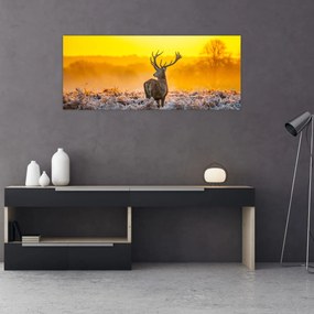 Obraz - Jeleň pri východe slnka (120x50 cm)