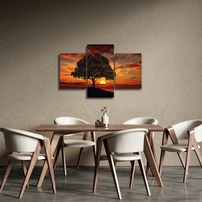 Obraz stromu pri západe slnka (90x60 cm)