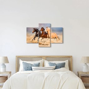 Obraz - Divé kone (90x60 cm)