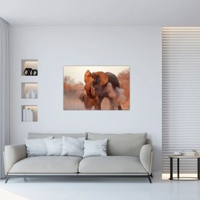 Obraz - Veľký slon africký (90x60 cm)