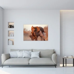 Obraz - Veľký slon africký (90x60 cm)