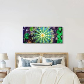 Obraz kaktusu (120x50 cm)