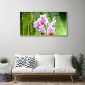 Skleneny obraz Bambus orchidea kvety zen 120x60 cm