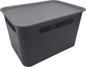 Rotho Úložný box s vekom a s držadlami BRISEN 16l, 36x26,2x21cm, čierny