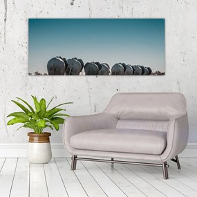 Obraz - Odchod slonov (120x50 cm)