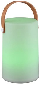 LED solárne vonkajšie svietidlo na diaľkové ovládanie (výška 21 cm) Aruba – Trio