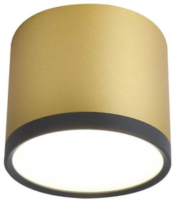 Candellux LED Stropné svietidlo TUBA LED/9W/230V CA0401