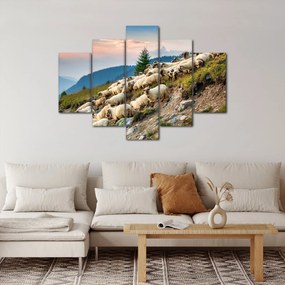 Obraz - Stádo oviec (150x105 cm)