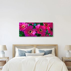 Obraz - kvety (120x50 cm)