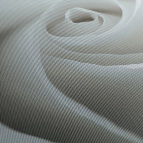 Obraz - Biela ruža (120x50 cm)