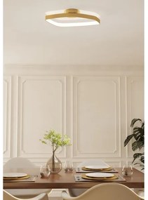 Eglo 900916 - LED Stmievateľné stropné svietidlo VALLEROSA LED/25,2W/230V