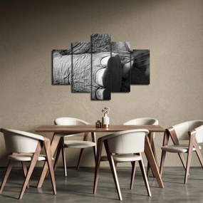 Obraz - Slonia noha (150x105 cm)
