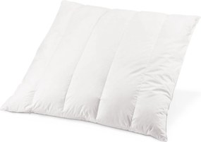 Vankúš s výplňou z limbového dreva, cca 70 x 90 cm