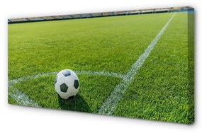 Obraz canvas Futbalový štadión trávy 140x70 cm
