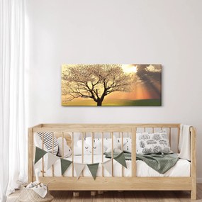 Obraz stromu na lúke (120x50 cm)