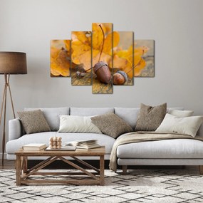 Obraz - Jesenné žalude (150x105 cm)