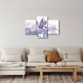Obraz - Motýľ a levanduľa (90x60 cm)