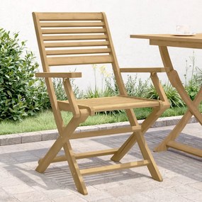 Skladacie záhr. stoličky 2 ks 54,5x61,5x86,5 cm akáciový masív 365737