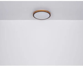 Globo 41765-12 - LED Stropné svietidlo SAMMI LED/12W/230V 3000/4500/6000K